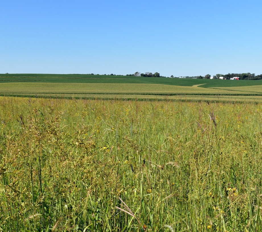 Conservation Cover photo 2