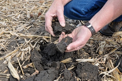 No-Till photo 3