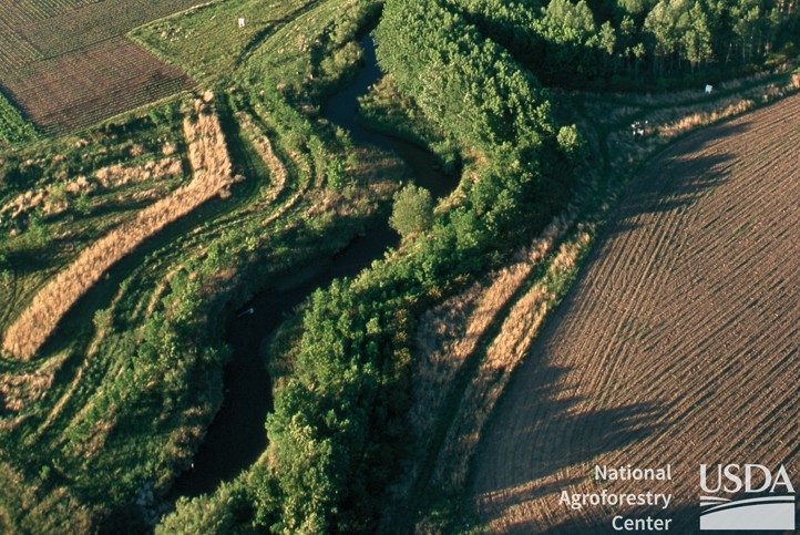 Riparian Forest Buffer photo 2