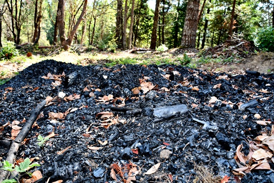 Soil Carbon Amendment photo 2